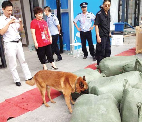 南寧國際會展中心引進警犬替代X光機檢測大型包裹[圖]